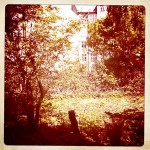 IMG_1360 IMG_1360