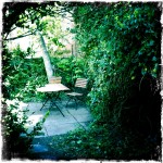 IMG_1375 Kaffespot i solen